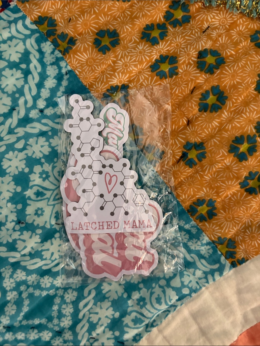 NIB Latched Mama Magnets (4)